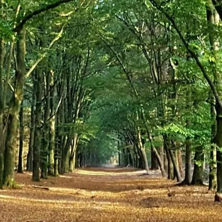 Feriehus In By Veluwe, Cleaning Included
